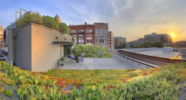 Aerial view of the Asla Green Roof in Washington D.C.