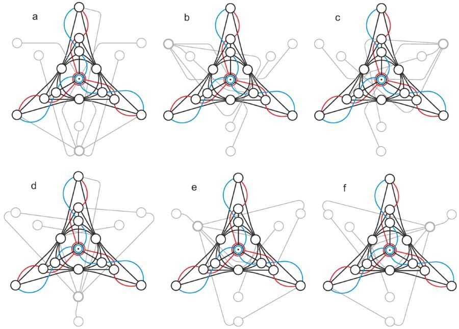 An image showing different data structures and Geometry Representation.