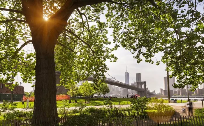 Brooklyn Bridge Park, USA