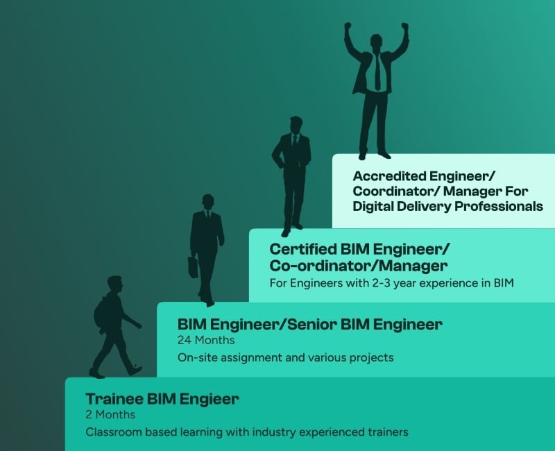Career hierarchy of a BIM engineer