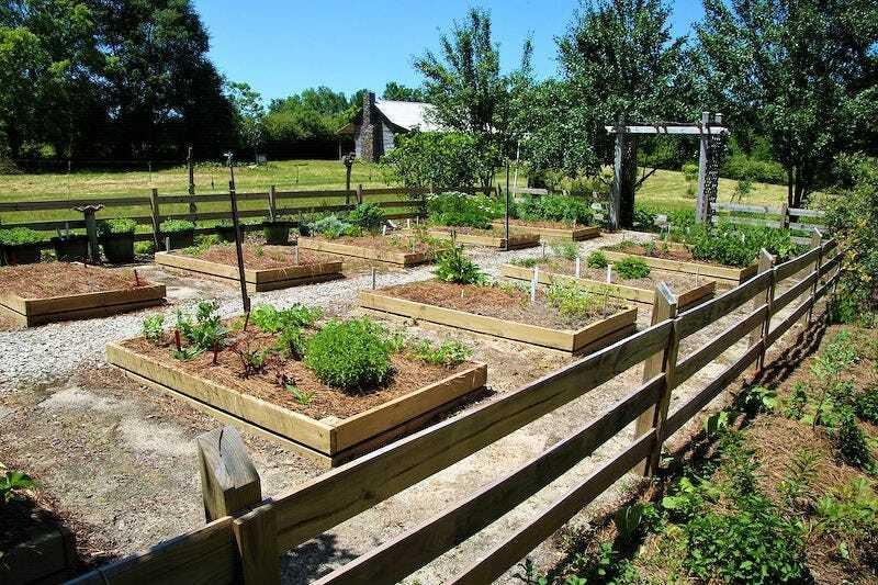 Climate adaptive planting 