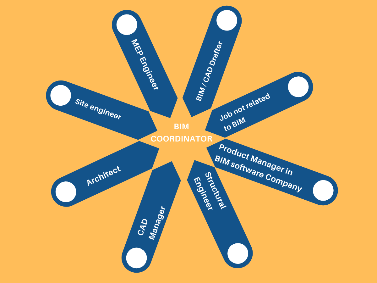 Different Paths Leading to BIM Coordinator Position.