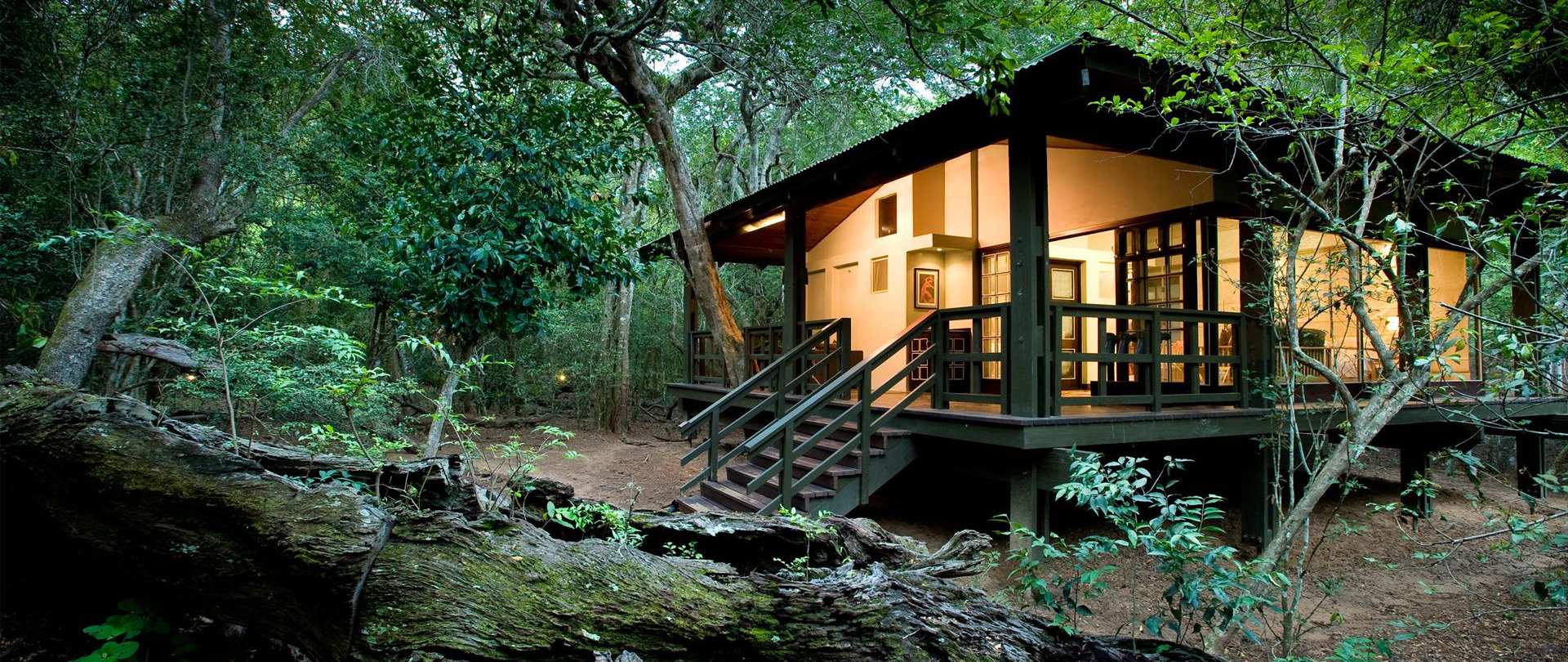 Elevated eco-lodges in forest