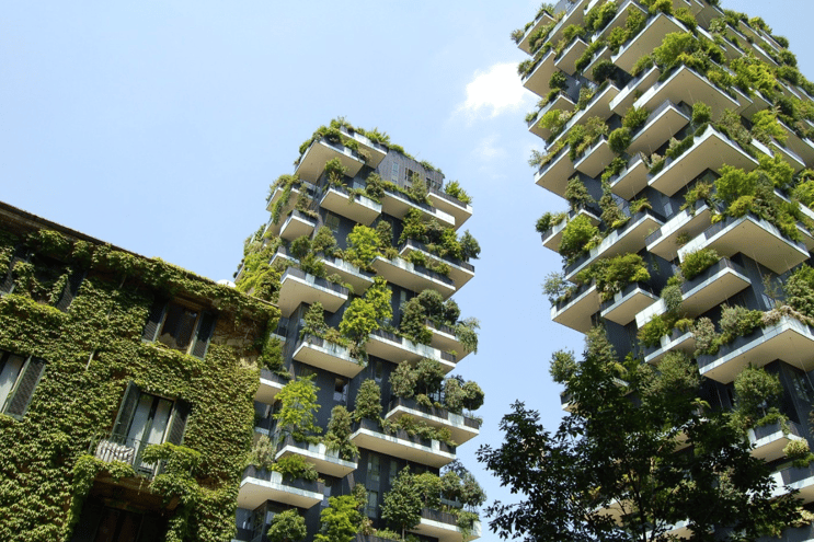 Green roof and vertical gardening (1)
