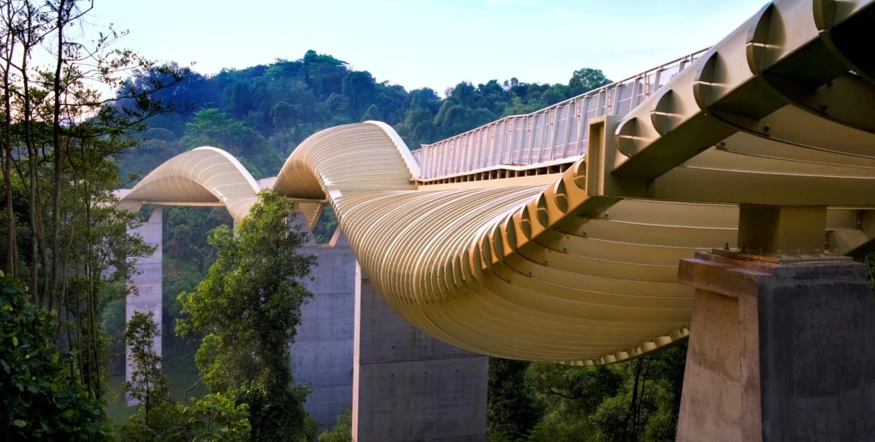 Henderson Waves Bridge