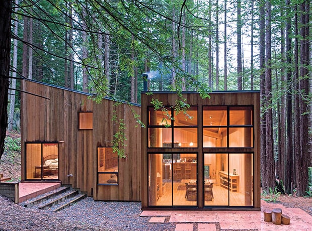 Minimalist forest cabin architecture