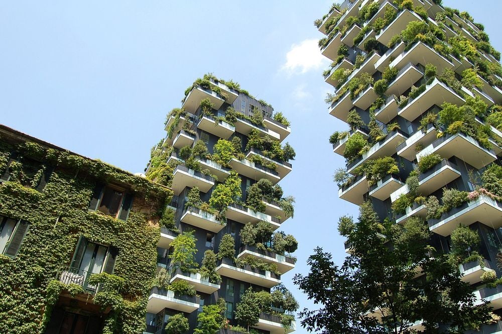 Natural green plants on modern buildings