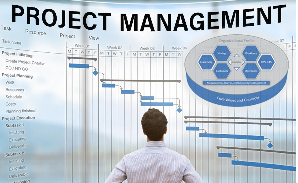 Project management and coordination