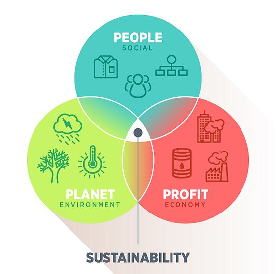 a venn diagram of planet, profit and people in each circle and sustainability at the centre