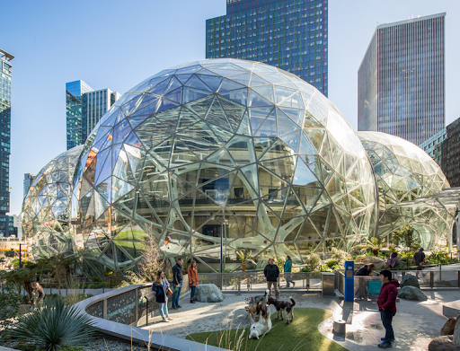 The Amazon Spheres