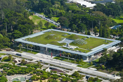 The California Academy of Sciences