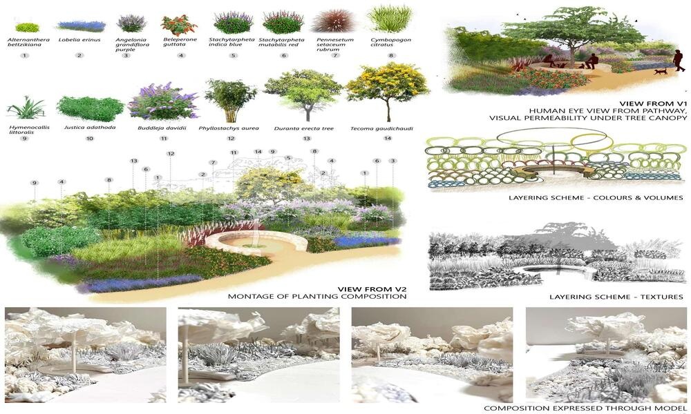 Vegetative Selection in Landscape Design