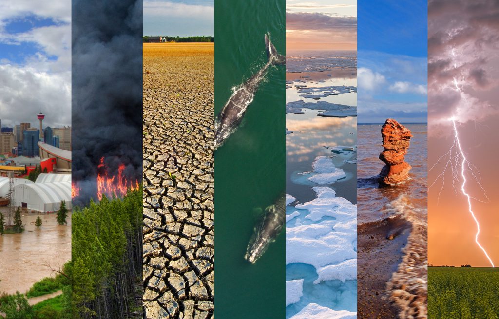 7 different types of natural disasters experienced around the world