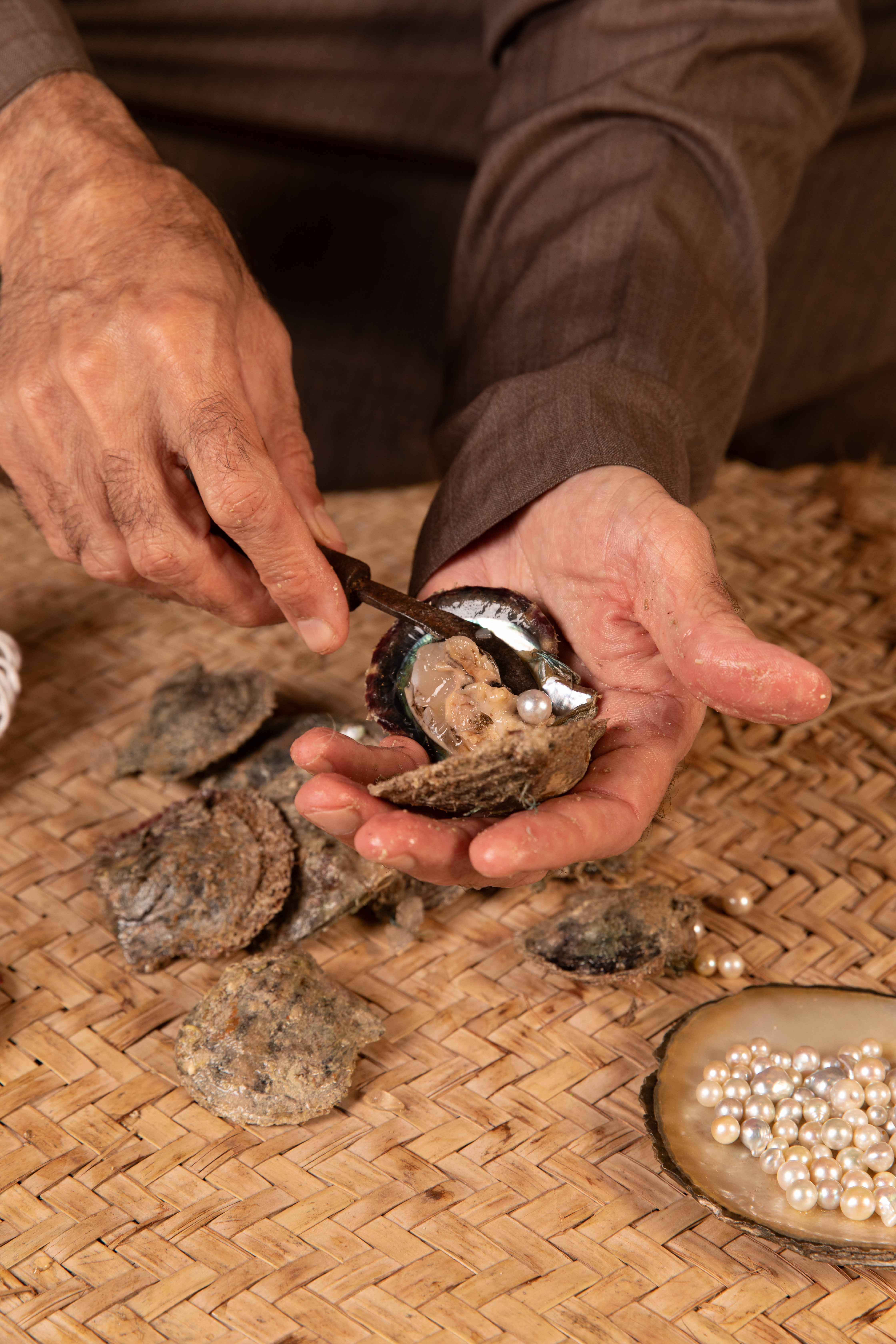 house-of-artisans_16_tides-and-traditions_rami-mansour