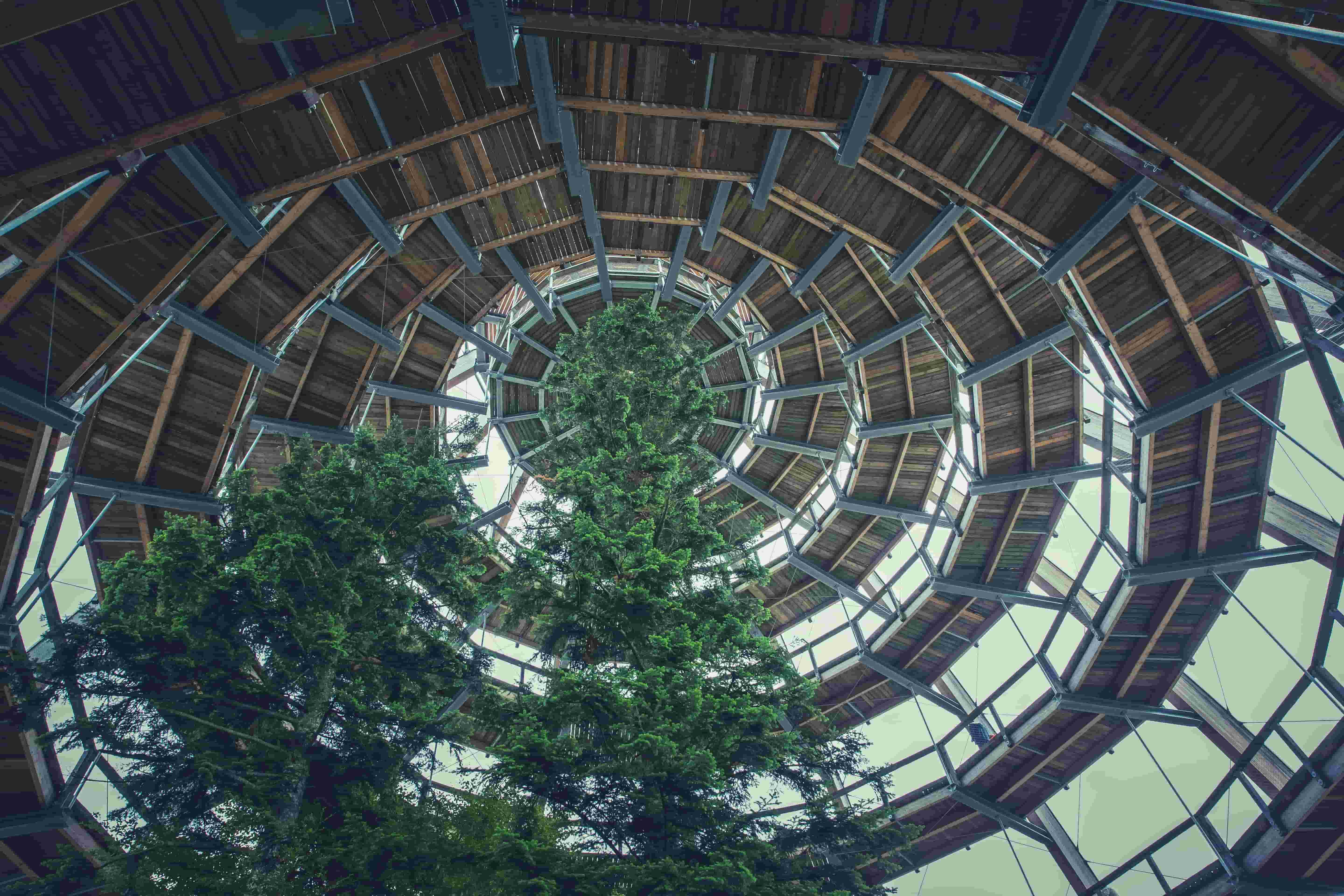 Tree-integrated spiral architecture 