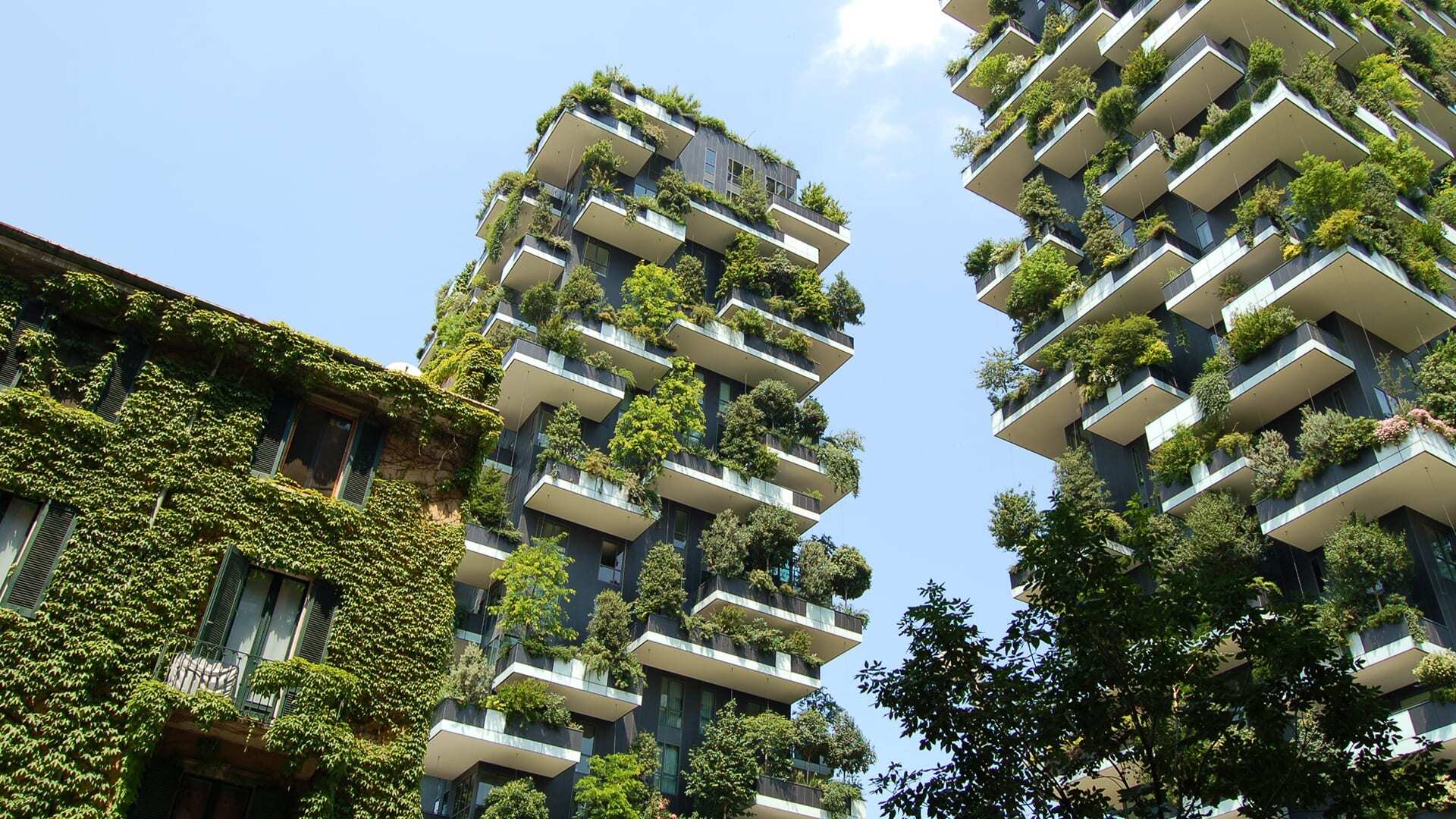 sustainable building 1
