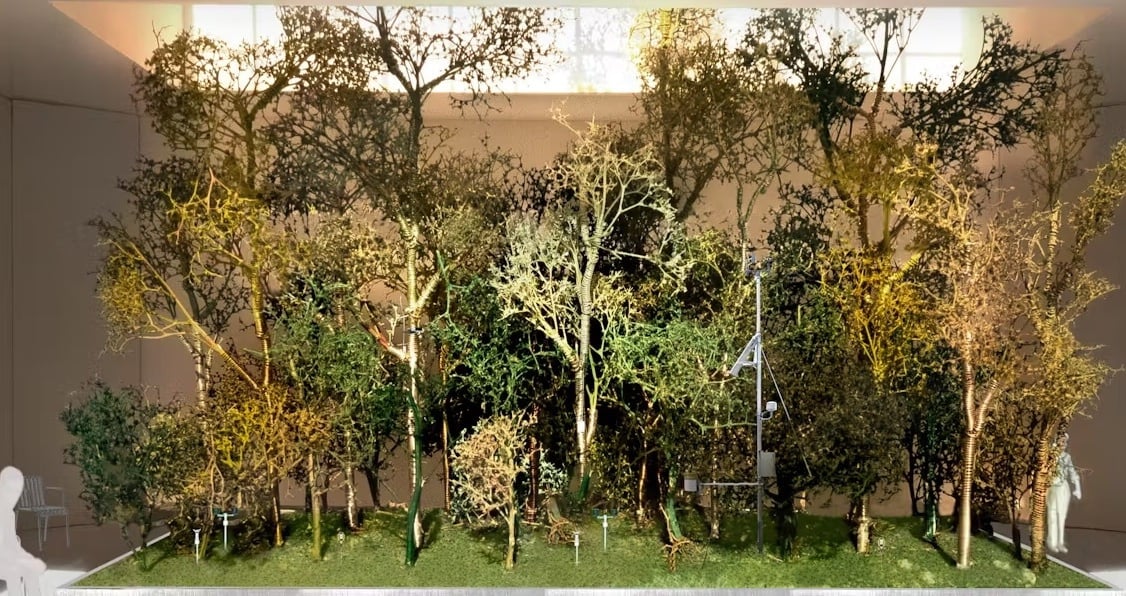 the-belgian-pavilion-explores-plant-based-architecture