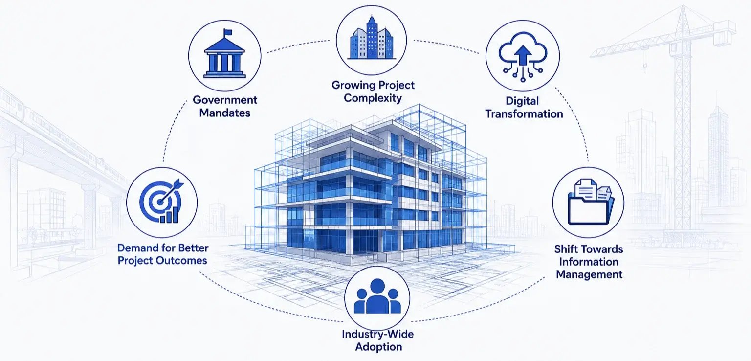 what is driving growth in bim
