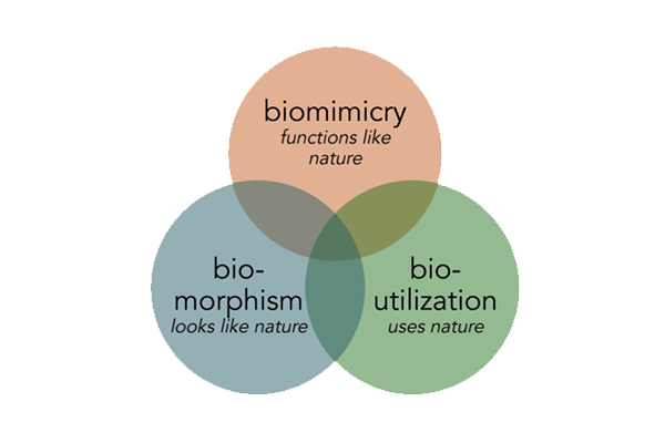 whatisntbiomimicry