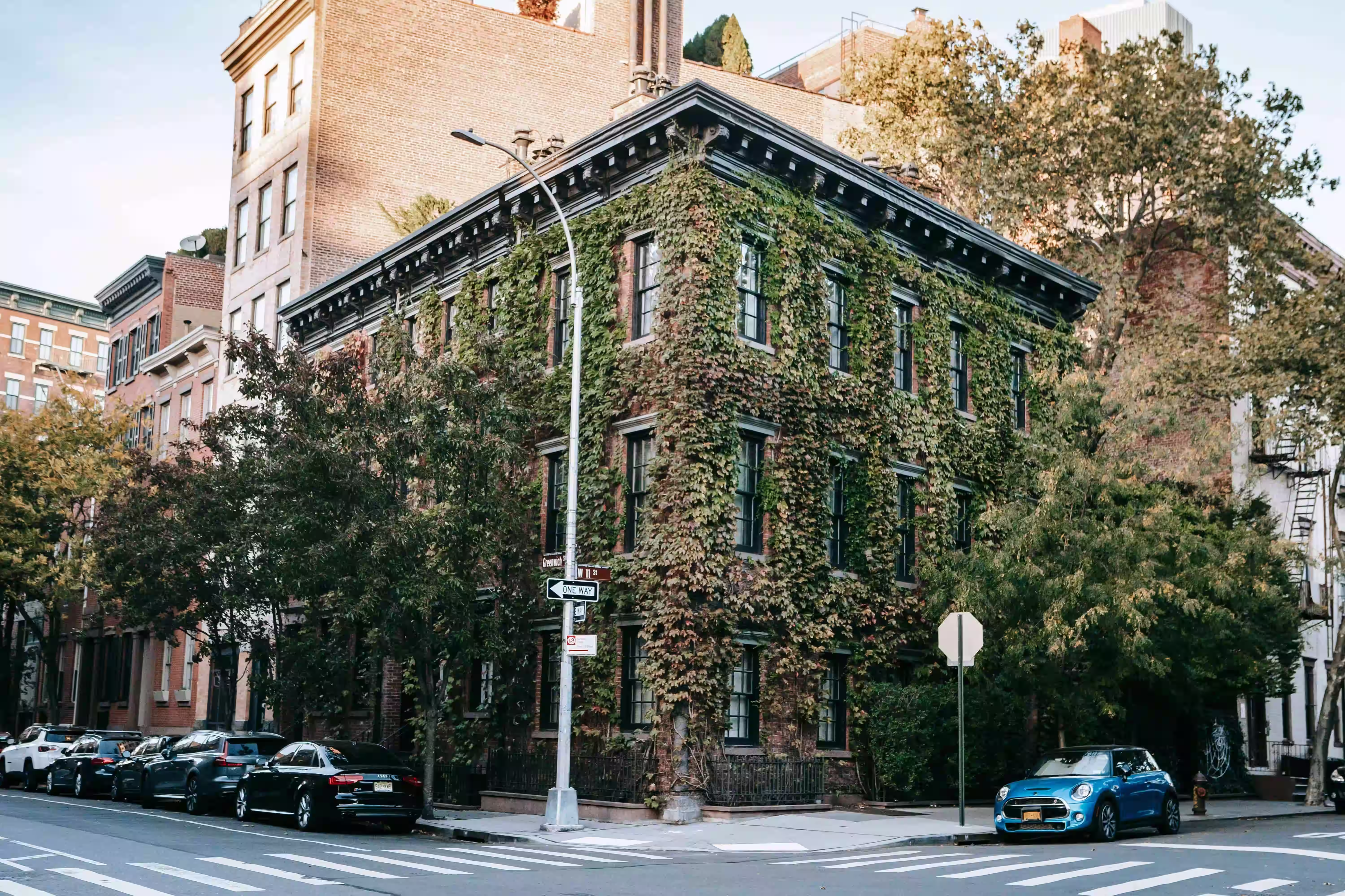  Green ivy-covered building